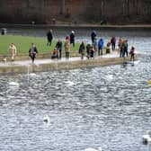 Officers were called to Roundhay Park on Saturday morning to reports that youths were throwing stones at a swan's nest.