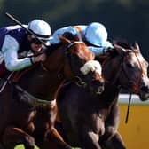 Regional ridden by Callum Rodriguez (left) on their way to winning the Betfair Sprint Cup Stakes at Haydock Park Racecourse, Merseyside. (Picture: Tim Goode/PA Wire)