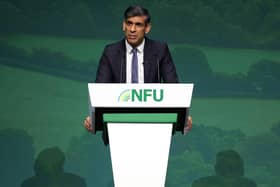 Prime Minister Rishi Sunak speaking during the National Farmers' Union annual conference. PIC: Adrian Dennis/PA Wire