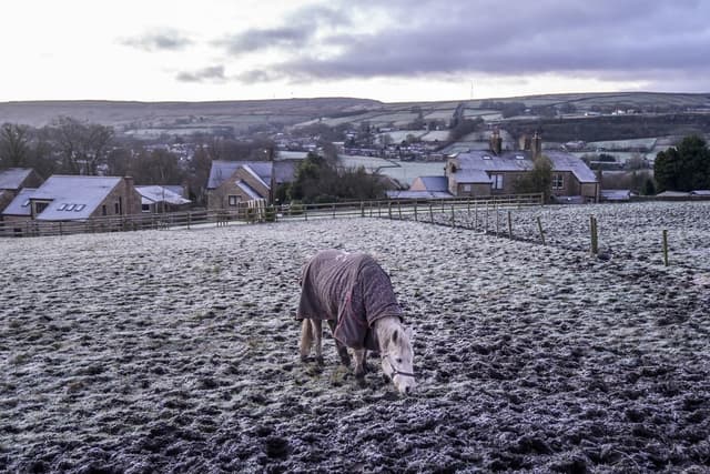 Yorkshire cold weather: Amber cold-health alert issued as freezing ...