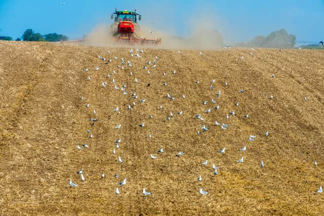 A farmer works the land near Beverley, East Yorkshire. PIC: James Hardisty