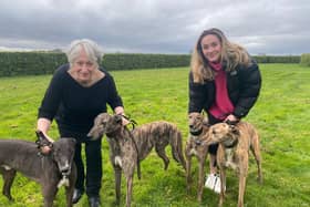 Jackie Ferguson (left) and daughter Eleanor with their star greyhounds!