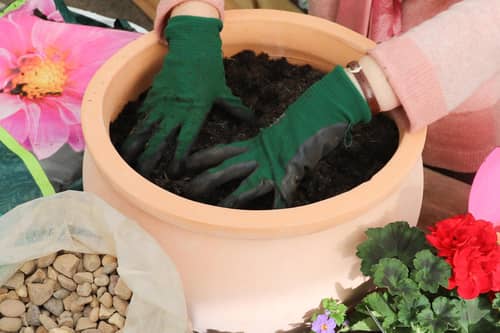 Peat-free compost in a pot. PIC: Squire's Garden Centres/PA