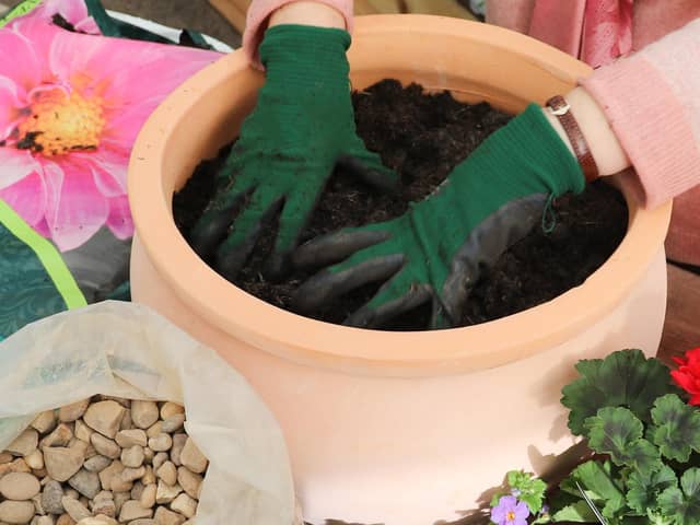 Peat-free compost in a pot. PIC: Squire's Garden Centres/PA