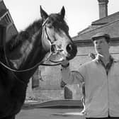 Ian Balding wth Mill Reef at the training quarters at Park House, Kingsclere.