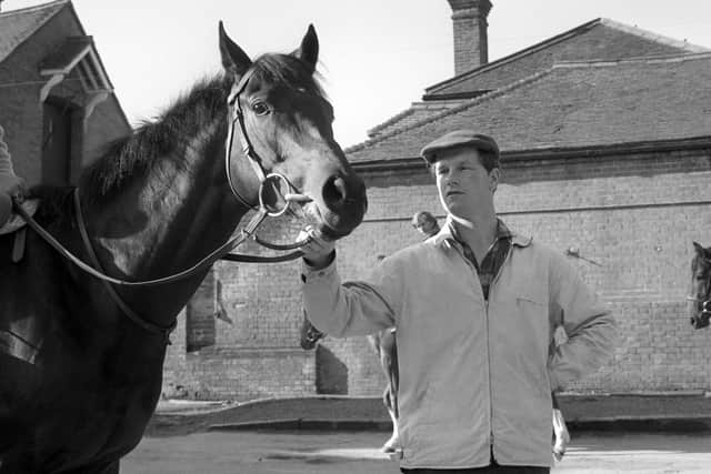 Ian Balding wth Mill Reef at the training quarters at Park House, Kingsclere.
