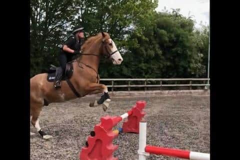 Sgt Collette Pitcher pictured training on Billy at the Ring Farm stables.