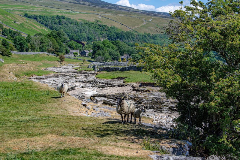 River Skirfare in Littondale photographed for the Yorkshire Post by Tony Johnson.
