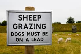 Bradford Council is appealing to dog owners to keep their pet on a short lead to protect wildlife during ground nesting season and livestock such as sheep during lambing season.