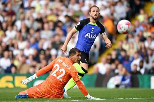 GOAL: Harry Kane makes it 3-1 to Tottenham Hotspur