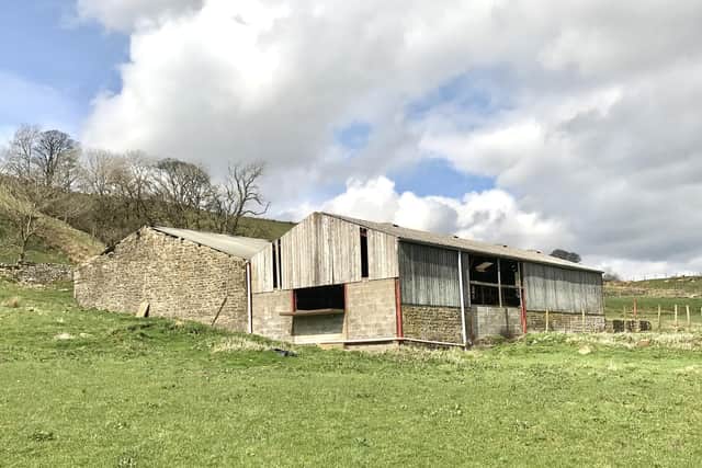 The cattleshed before it was transformed into the Thorns Gallery