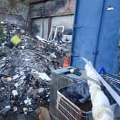 The company was fined £8,000, ordered to pay a victim surcharge of £2,000 and costs of £5,442, while Fitzgerald was sentenced to a 12-month community order with 140 hours of unpaid work, and was ordered to pay costs of £5442 and a victim surcharge of £114.