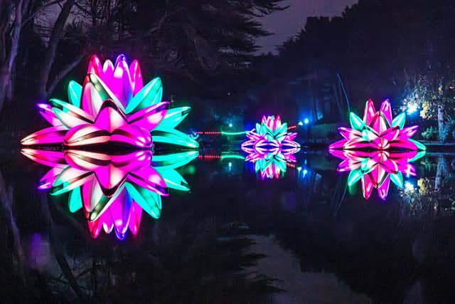 Picture: Charlotte Graham. Scarborough Lights will feature illuminated art installations at venues across the town, running from mid-November right up to Christmas.
