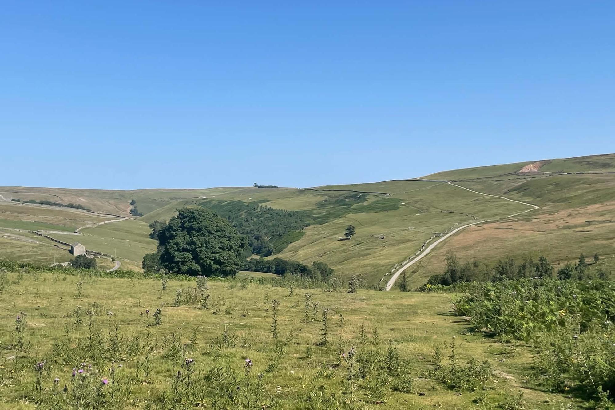 Ministry of Defence warns 23-turbine Yorkshire Dales wind farm could interfere with military radar