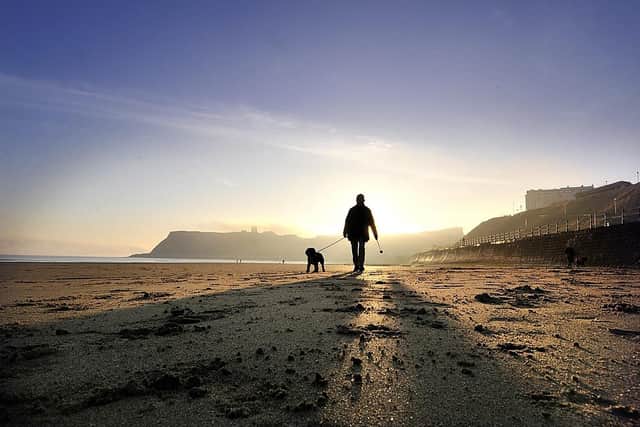 A lone dog walker on Scarborough's North Bay beach. (Pic Richard Ponter)