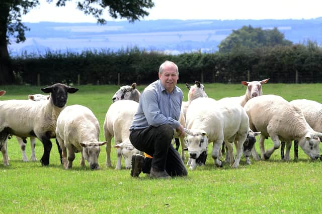 David Teasdale with some of his sheep  at Wethercote Farm Skiplam