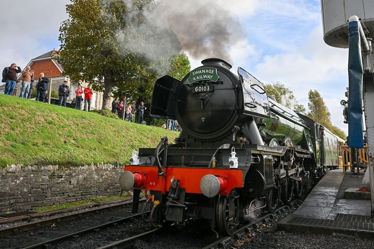 The Flying Scotsman: Films and TV shows the famous 20th century steam locomotive has appeared since it was built in Doncaster and 102 Dalmatians | Yorkshire Post