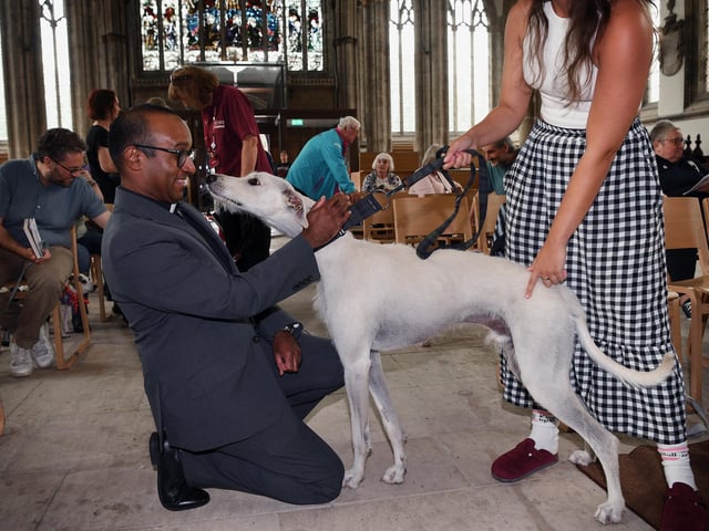 Revd Rob Sueka blesses a dog.