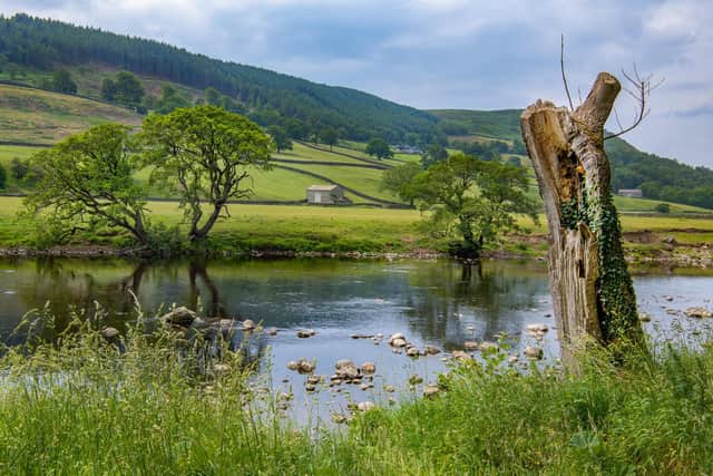 The River Wharfe at Appletreewick in North Yorkshire, photographed for The Yorkshire Post by Tony Johnson