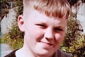 Call police on 999 if you see Alfie