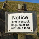 'Latest figures from the insurance arm of the National Farmers’ Union (NFU) reveal that farm animals worth an estimated £2.4m were severely injured or killed by dogs in 2023'. PIC: Adobe