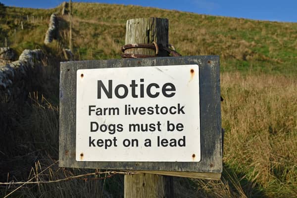 'Latest figures from the insurance arm of the National Farmers’ Union (NFU) reveal that farm animals worth an estimated £2.4m were severely injured or killed by dogs in 2023'. PIC: Adobe
