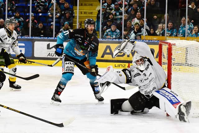 KNOW-HOW: Sean Collins - seen in action for Black Wings Linz - adds some veteran presence for Sheffield Steelers going into the 2026-27 Elite League campaign. Picture: BWL/Reinhard Eisenbauer