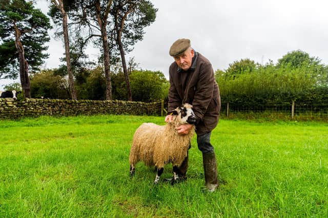 Farmer Raymond Johnson of Summerfield Farm near Harrogate, a sheep judge at Masham Sheep Fair holds one of his Masham Gimmer Lambs.
Picture By Yorkshire Post Photographer,  James Hardisty.