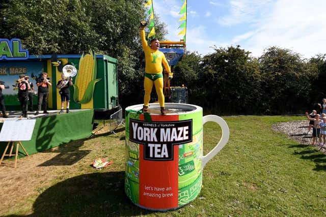 Yorkshire Man jumps into a giant mug of Yorkshire Tea. (Pic credit: Simon Hulme)