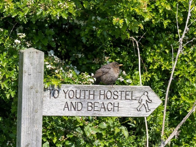The beautiful home is a short distance away from the beach.