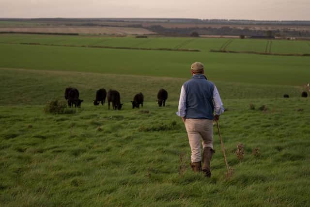 Farmer Charles Ashbridge with the Flat Iron Yorkshire Herd

Picture by Rachael Dawes