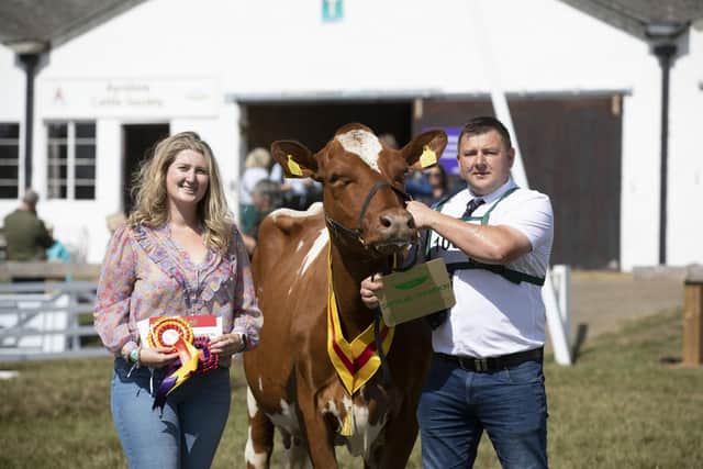 GYS23_ Supreme Dairy Champion at the Great Yorkshire Show. Dairy Shorthorn, Churchroyd Bronte Wildeyes 51, Handler and owner Ian Collins from Dewsbury presented with the by Ellie Gibbs, Agricultural manager from Arla