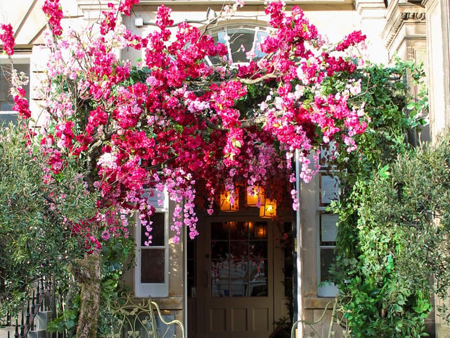 There's a giant swag of cherry blossoms above the entrance to Tigerlily. Selfie opportunity number one.