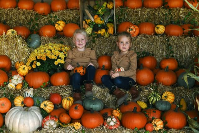 Jason Butler with his wife Becky and daughters Holly and Chole atThe Pumpkin Patch, at Bewholme, near Hornsea.