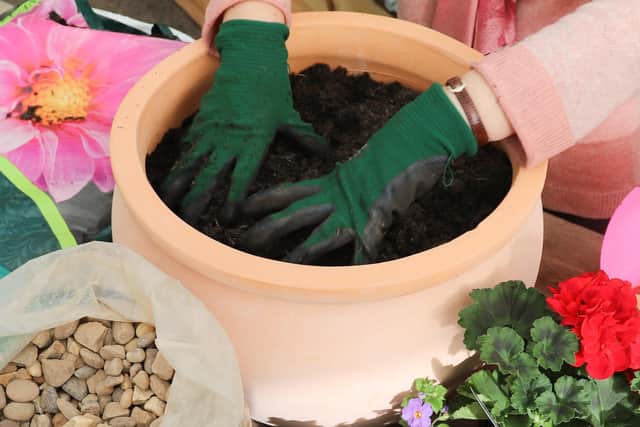 Photo of peat-free compost in a pot. PIC: PA.