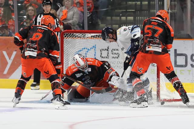 NO WAY THROUGH: Matt Greenfield repels another Coventry attack in Saturday's 6-0 win for Sheffield Steelers. Picture: Cerys Heslop/Steelers Media.