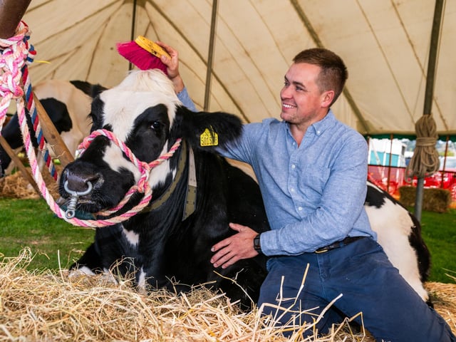 Pictured Lewis Yates, from New Yorks Farm at Silsden, brushing one of their show cattle a British Blue called Valentine. Picture: James Hardisty. Date: 5th September 2026.