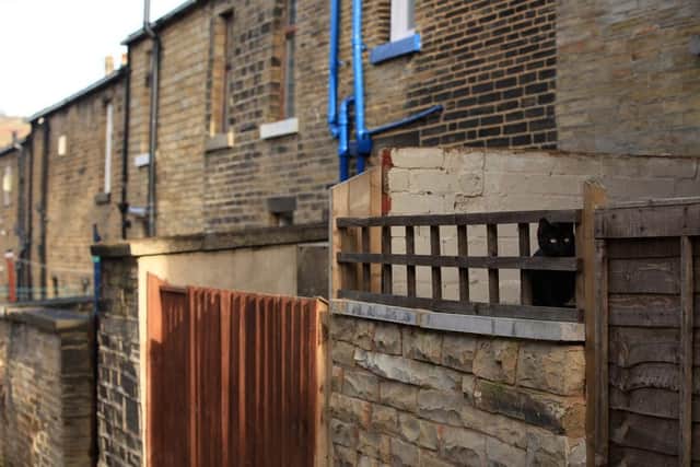 A cat sits on the wall in the backyard of a home at the Saltaire Village World Heritage Site in Bradford. (Pic credit: Christopher Furlong / Getty Images)