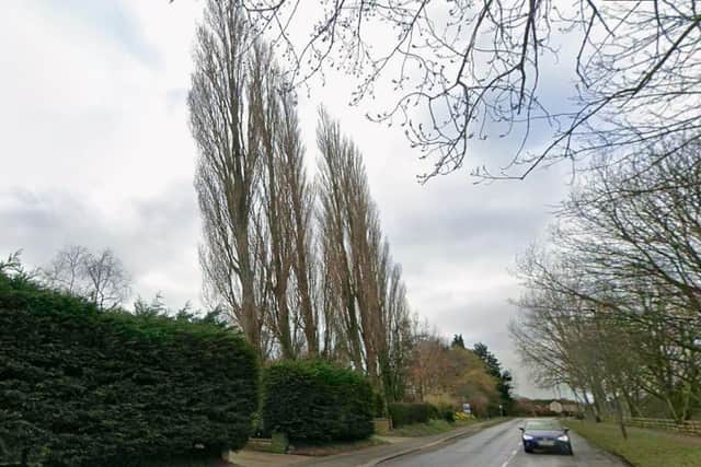 The trees (in the foreground on the left) at the centre of the application.