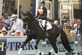 British breeder, based at Sheriff Hutton, Krista Brown competes on Eros RT her stallion who has sired a crop of potential young high performance horses.