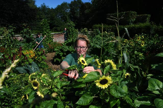 Claire Taylor, assistant head gardener