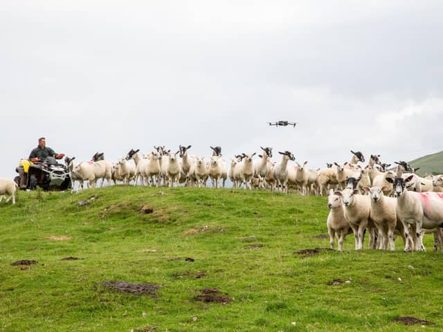 NEMSA – the North of England Mule Sheep Association – has taken its use of social media to new heights with both live action video and drone footage in a series of breed-promoting features involving farmers across Cumbria, Northumberland, Co. Durham and North Yorkshire and a ground-breaking link-up with three fellow sheep breed societies.
