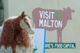 Malton food and drink festival. (Pic credit: Tony Johnson)