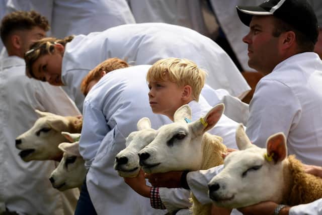 Driffield Show in 2025. Picture: Simon Hulme.