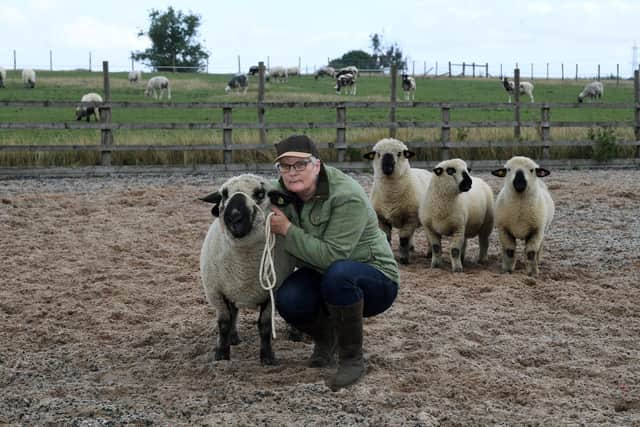 Gladys runs the sheep classes in between shifts as a nurse at Friarage Hospital in Northallerton