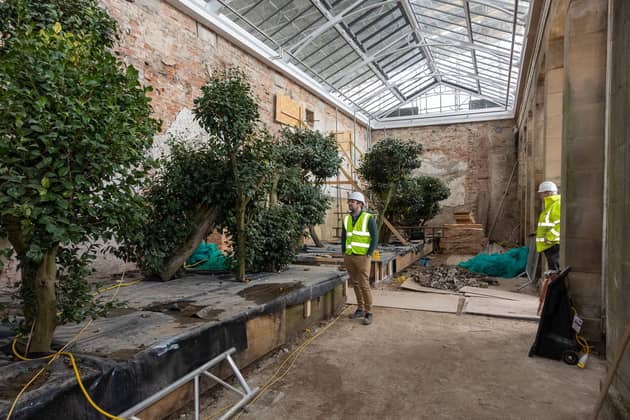 Inside the camelia house at Wentworth Woodhouse