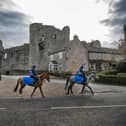 Racehorses make their way through Middleham, North Yorkshire to the gallops on the edge of the village