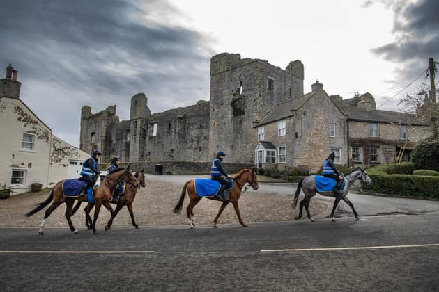 Racehorses make their way through Middleham, North Yorkshire to the gallops on the edge of the village