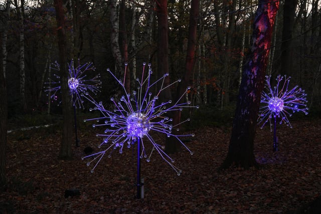 Tree tops glisten and shimmer, drenched in seasonal colours, with amazing highlights on the mile-plus trail including huge illuminated snowflakes and snowballs, giant sized luminous Lilies on the Roundhay Park lake and an incredible Neon tree.