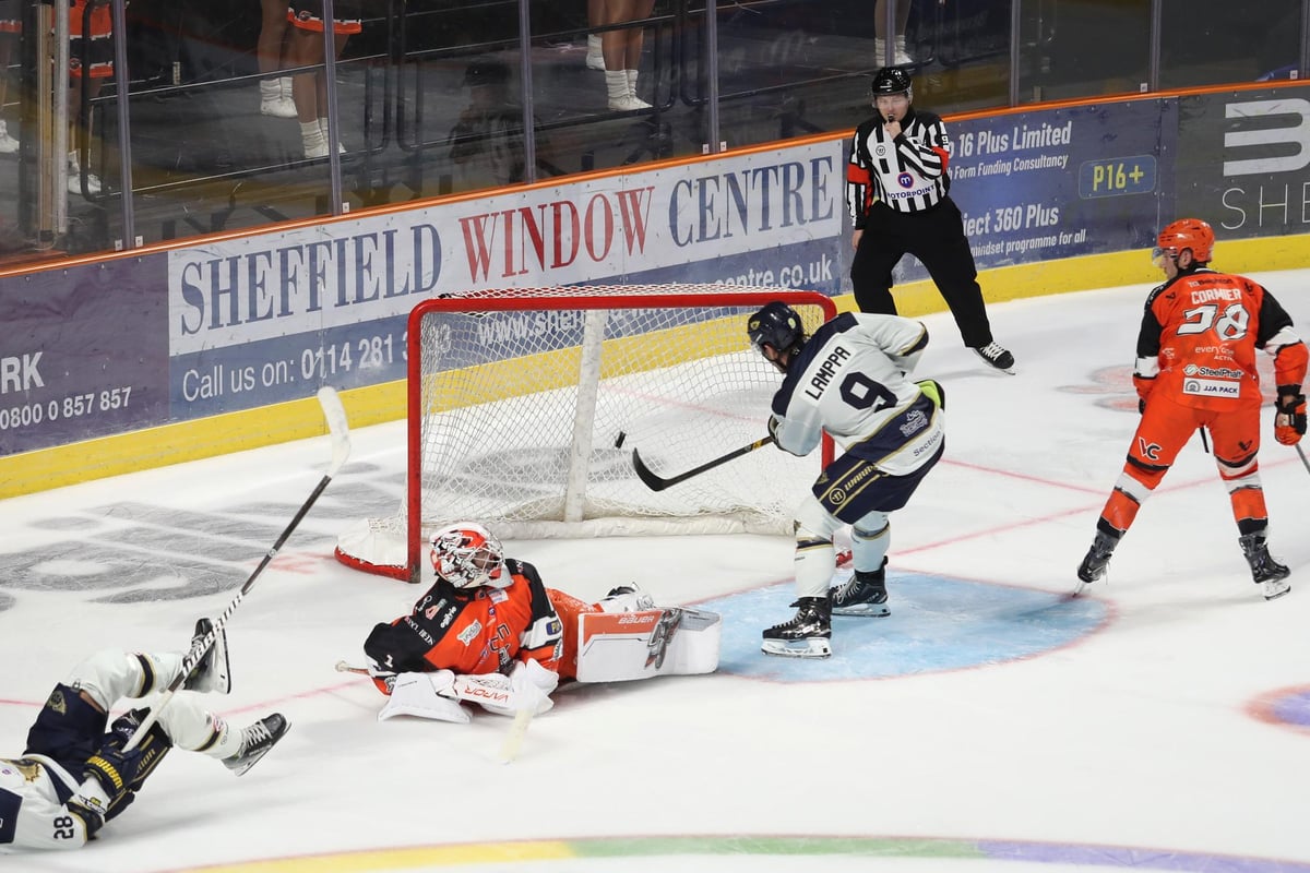 Sheffield Steelers nowhere near 'good enough' in overtime defeat to Fife Flyers